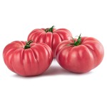 Domates (Pembe) (10 KG)